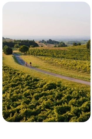 Parcours VTT électrique Cordes Sur ciel et alentours
