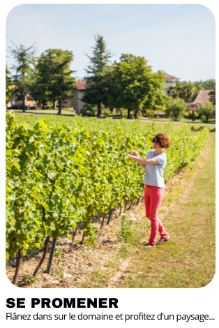 Balade dans les vignes du Domaine Gayrard entre Albi et Cordes sur ciel