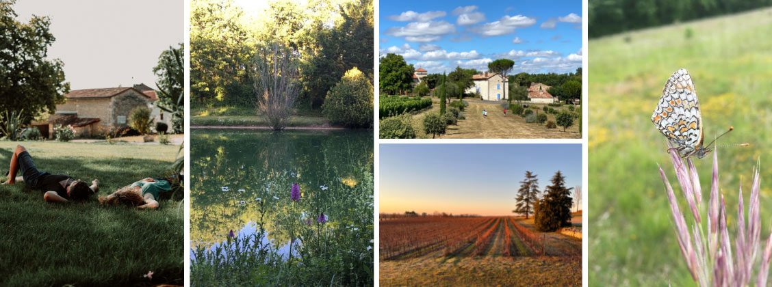 Balade dans les vignes  bio et biodynamie du Domaine Gayrard