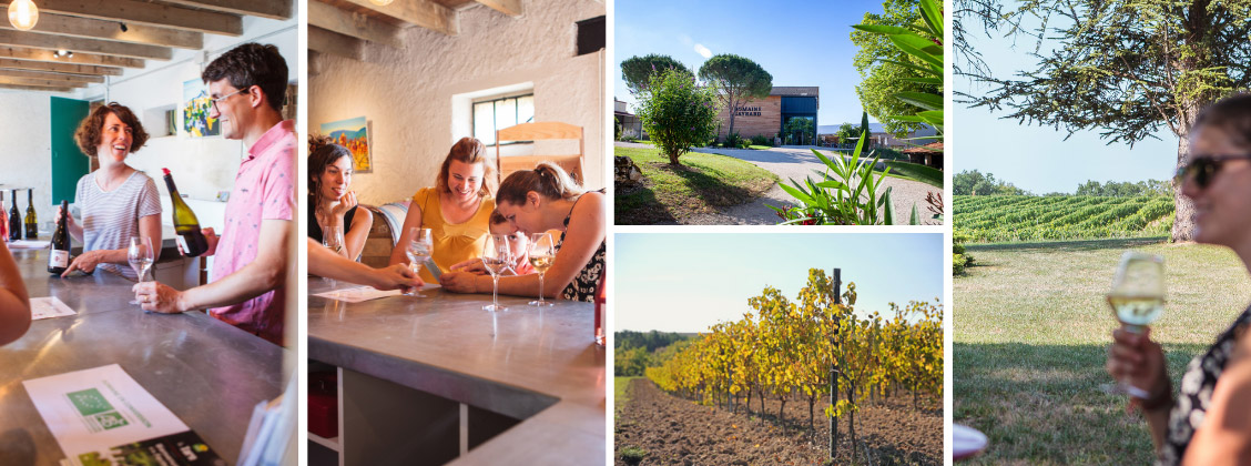 Dégustation des vins de Gaillac bio au domaine Gayrard