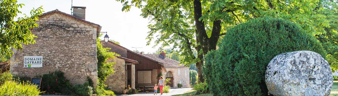 Domaine Gayrard Gaillac wines & Wine from the South-west