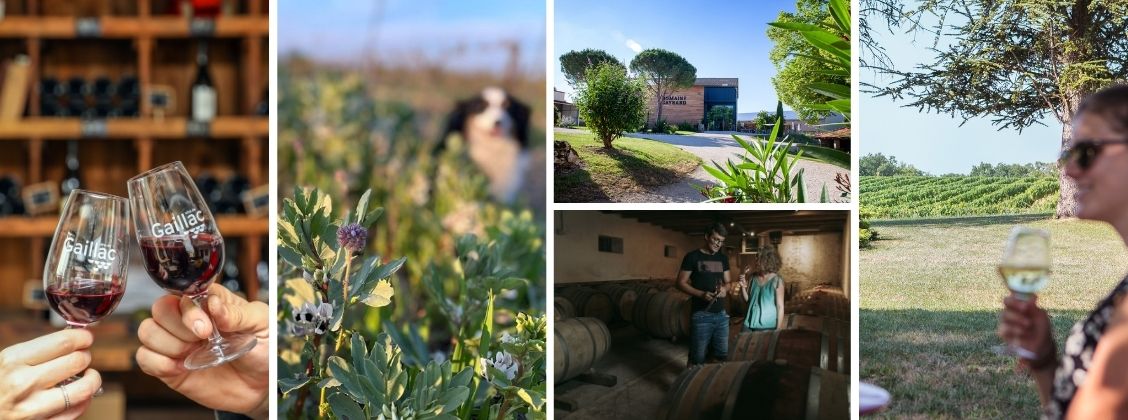 Activités au Domaine Gayrard à faire pendant les vacances