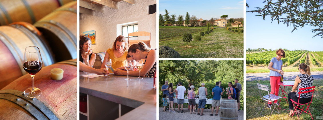 Visites guidées d'un domaine viticole et un chai à Gaillac