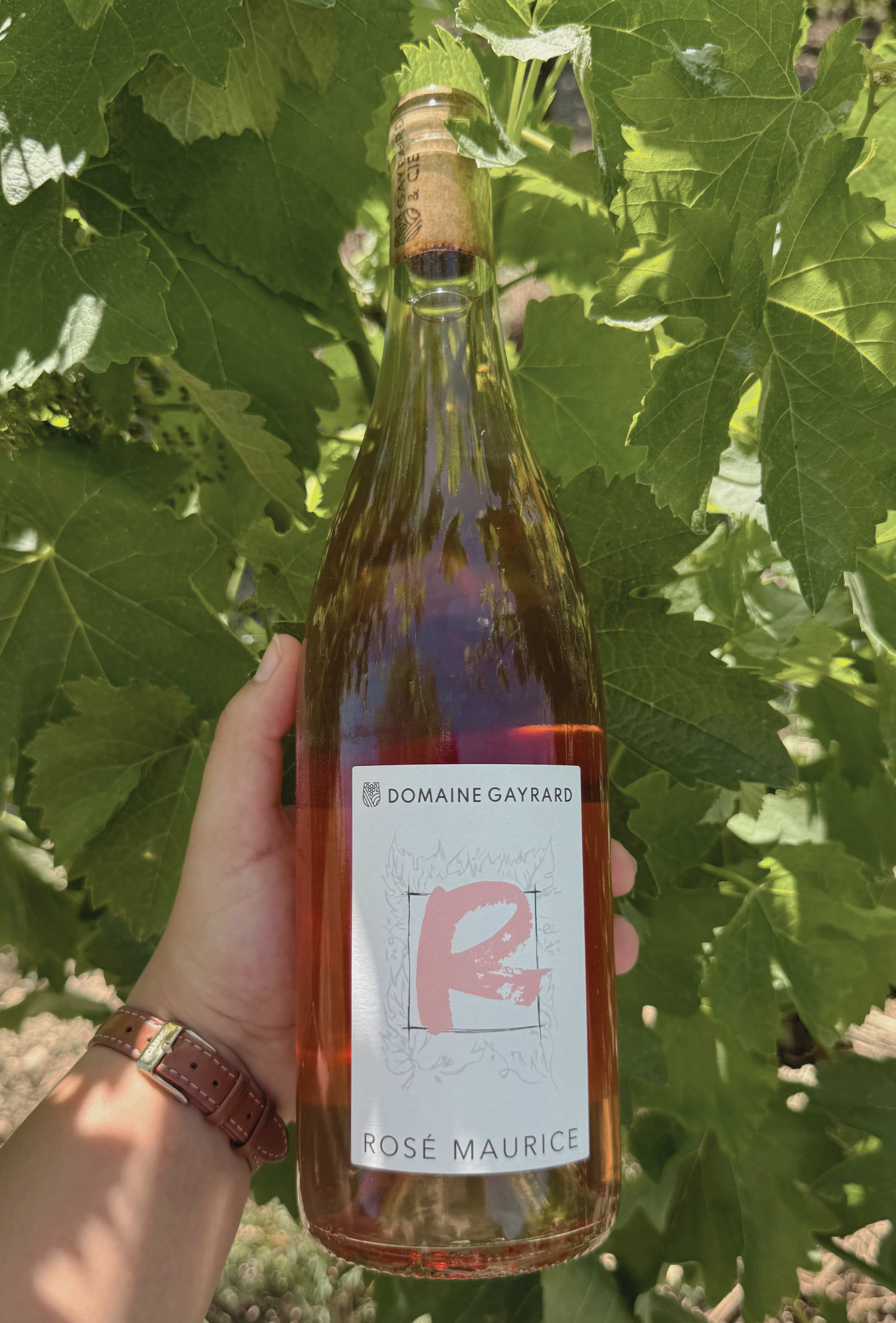 Rosé Maurice - 2024