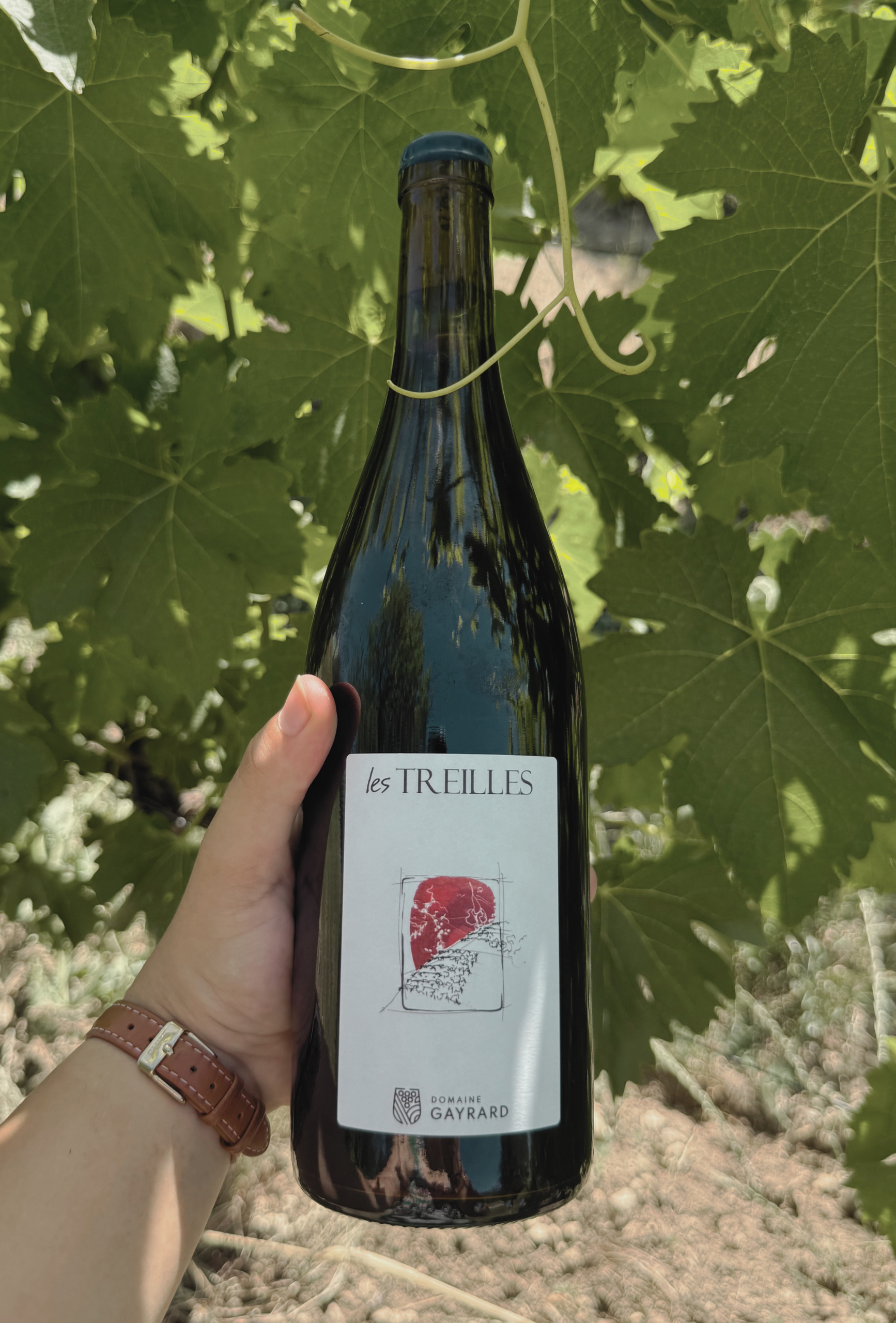 Les Treilles - 2024