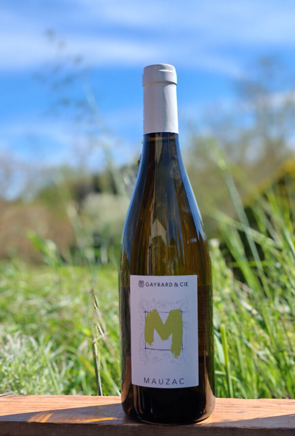 Mauzac - 2024