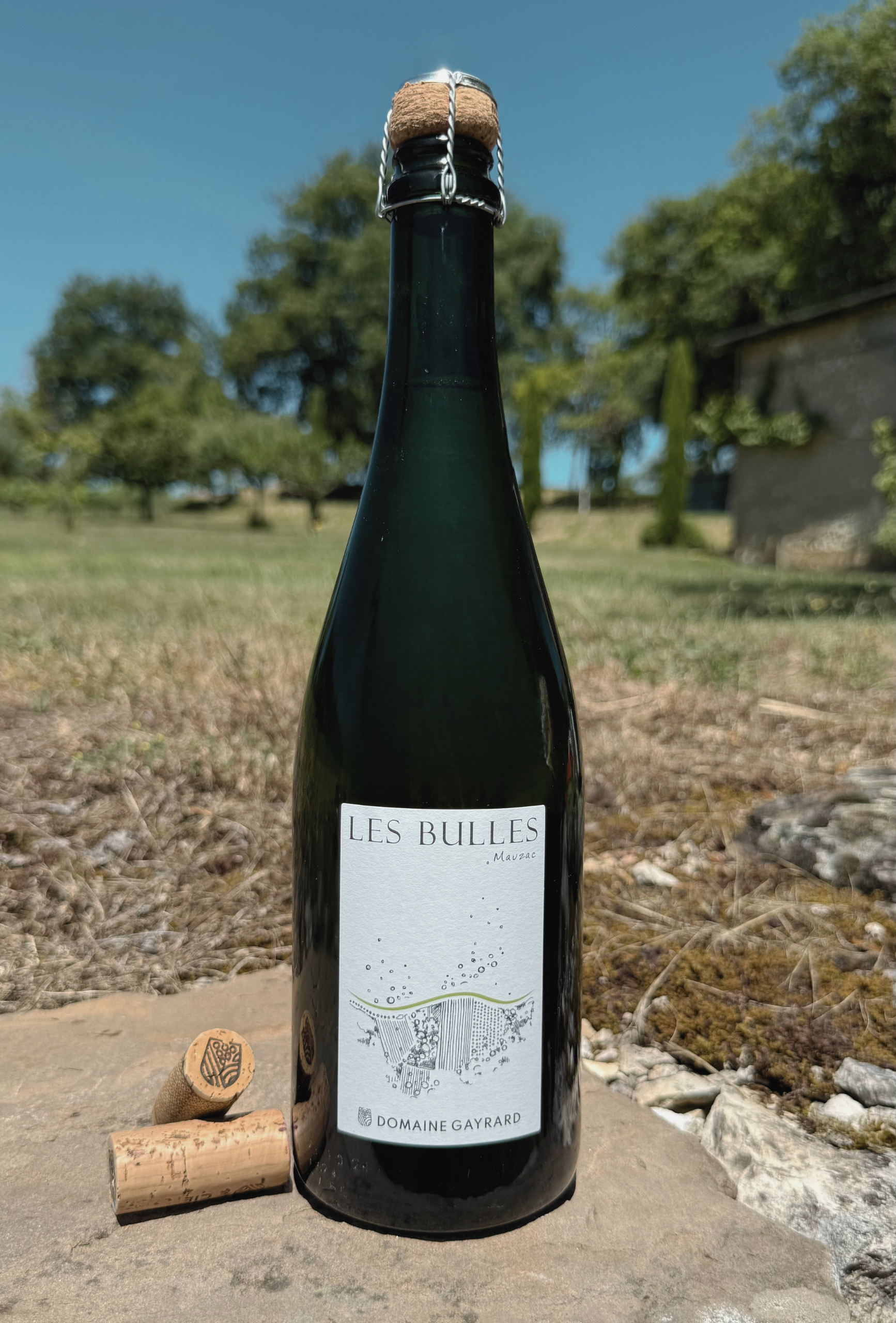 Les Bulles Blanches - 2024