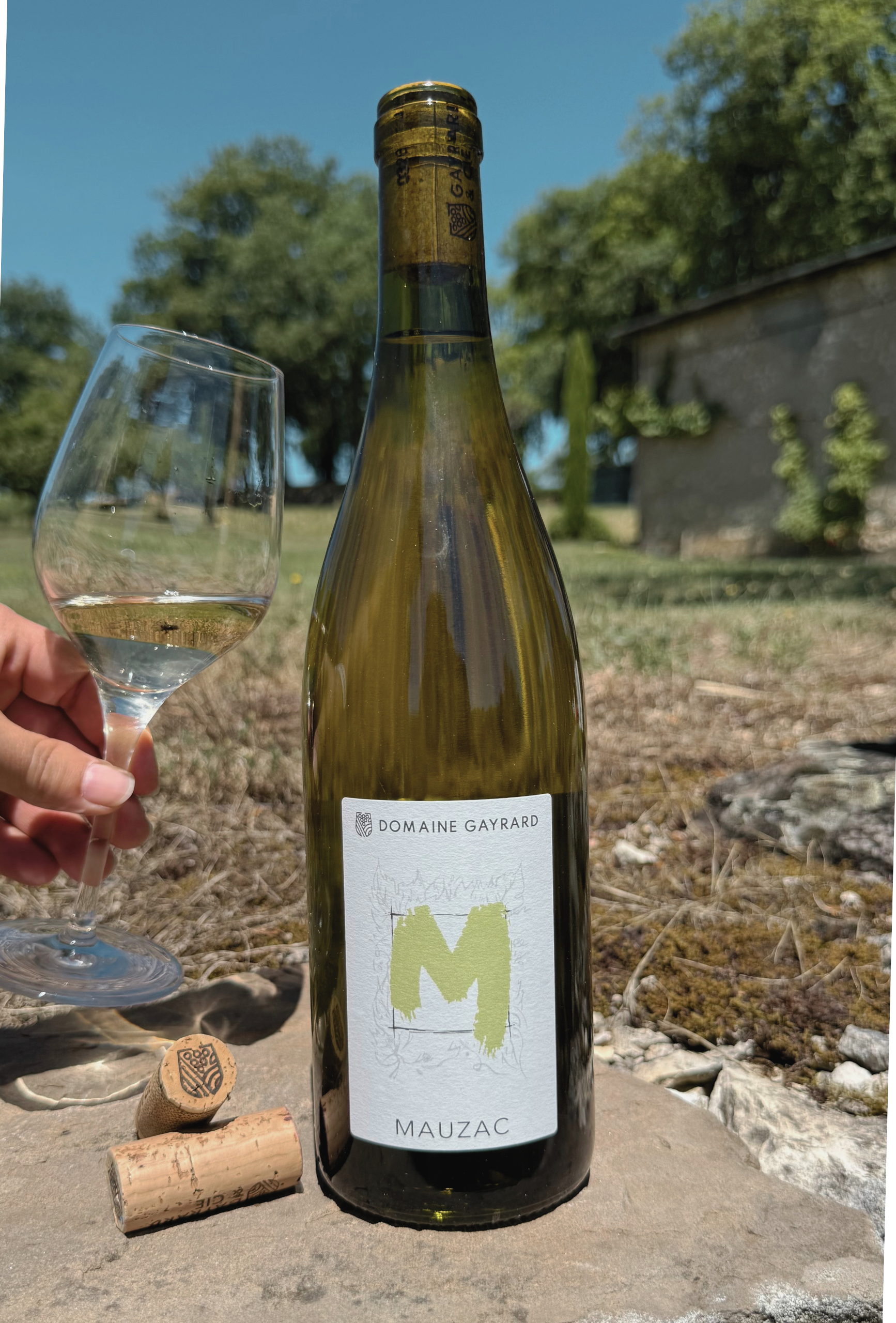 Mauzac - 2024