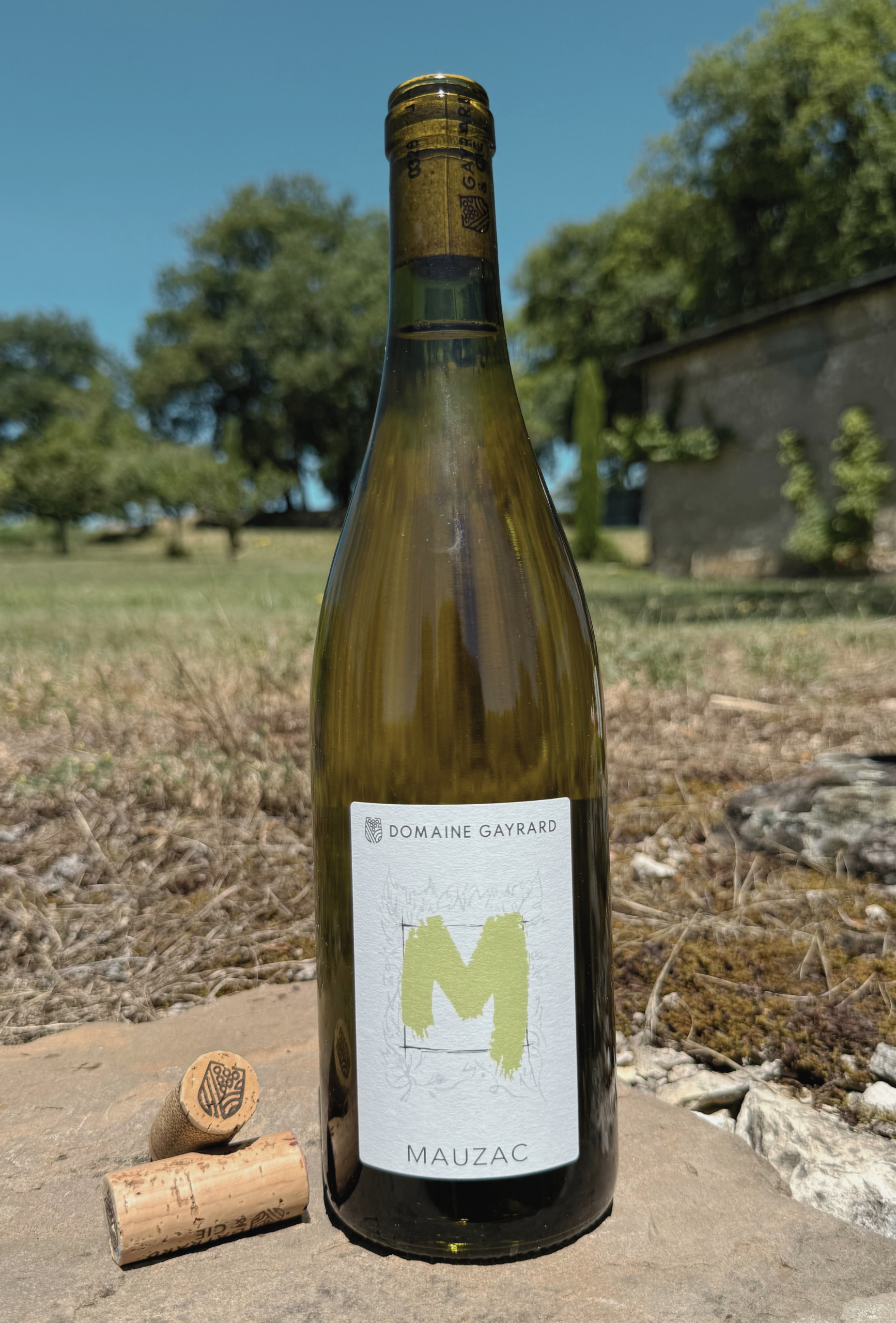 Mauzac - 2024
