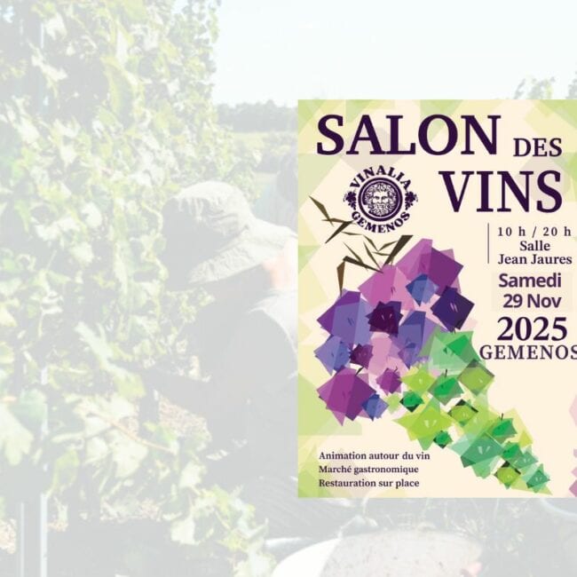 Vinalia - Domaine Gayrard 2025