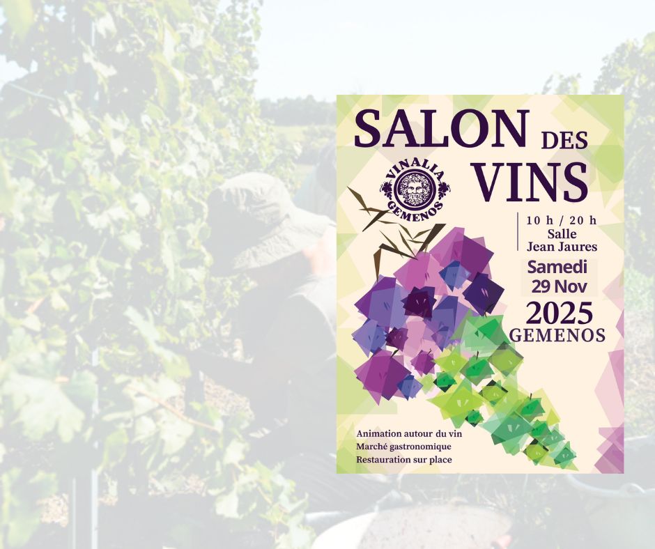 Vinalia - Domaine Gayrard 2025