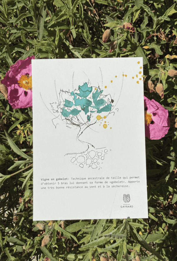 Carte Postale - Ondenc