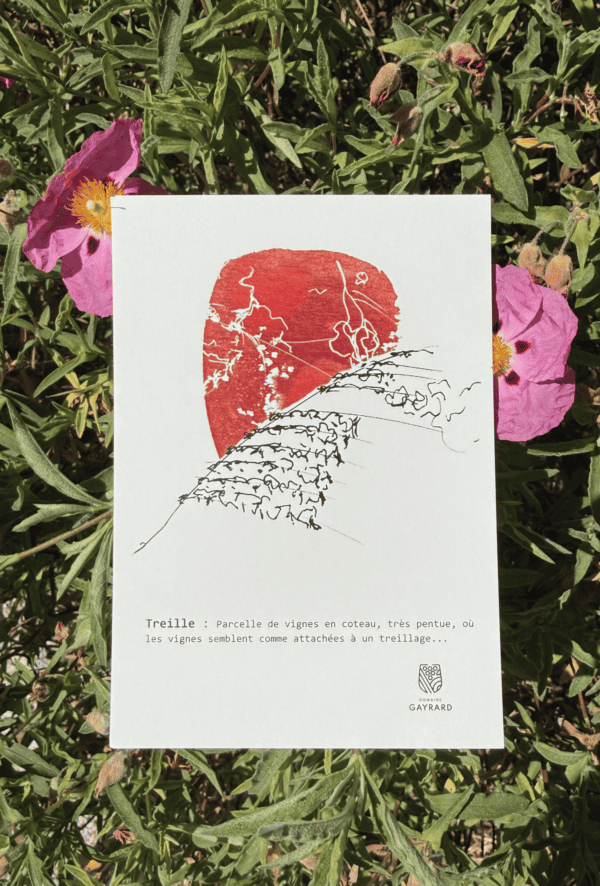 Carte Postale - Treilles