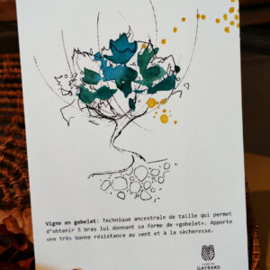 Carte Postale - Ondenc