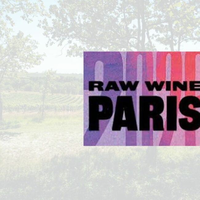 Raw Wine Paris 2026 et le Domaine Gayrard