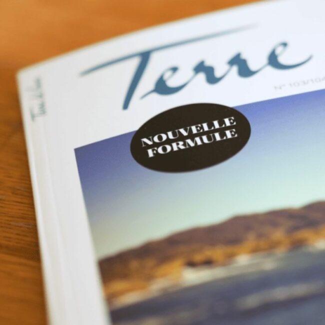 Article Domaine Gayrard et Terre de vins