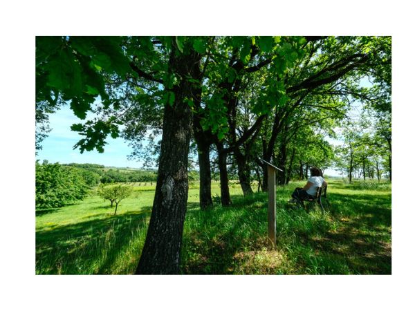 Découvrir le Domaine Gayrard près de Gaillac