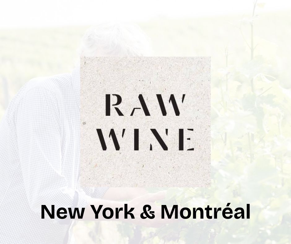 Domaine Gayrard à Raw Wine